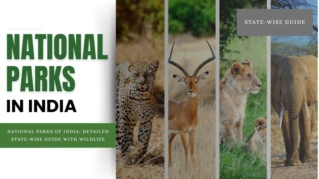 National Parks of India: Detailed State-Wise Guide with Wildlife