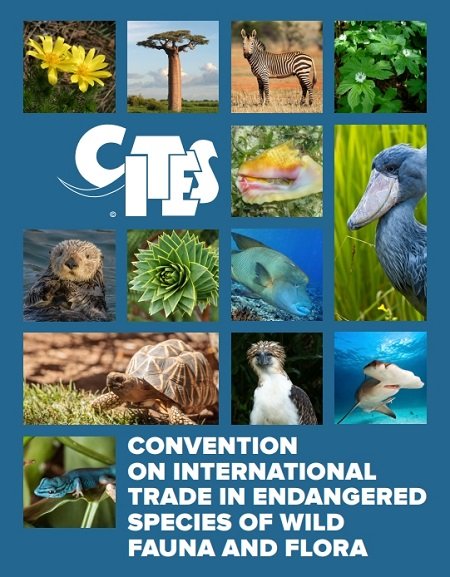 Convention-on-International-Trade-in-Endangered-Species-of-Wild-Fauna-and-Flora-(CITES)-Agreement-20